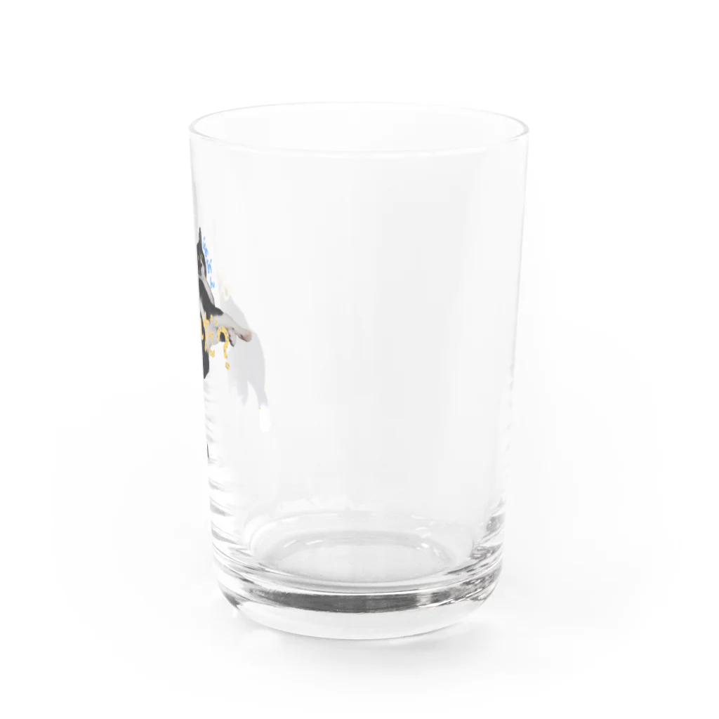 suca! mallのダルスカ Water Glass :right