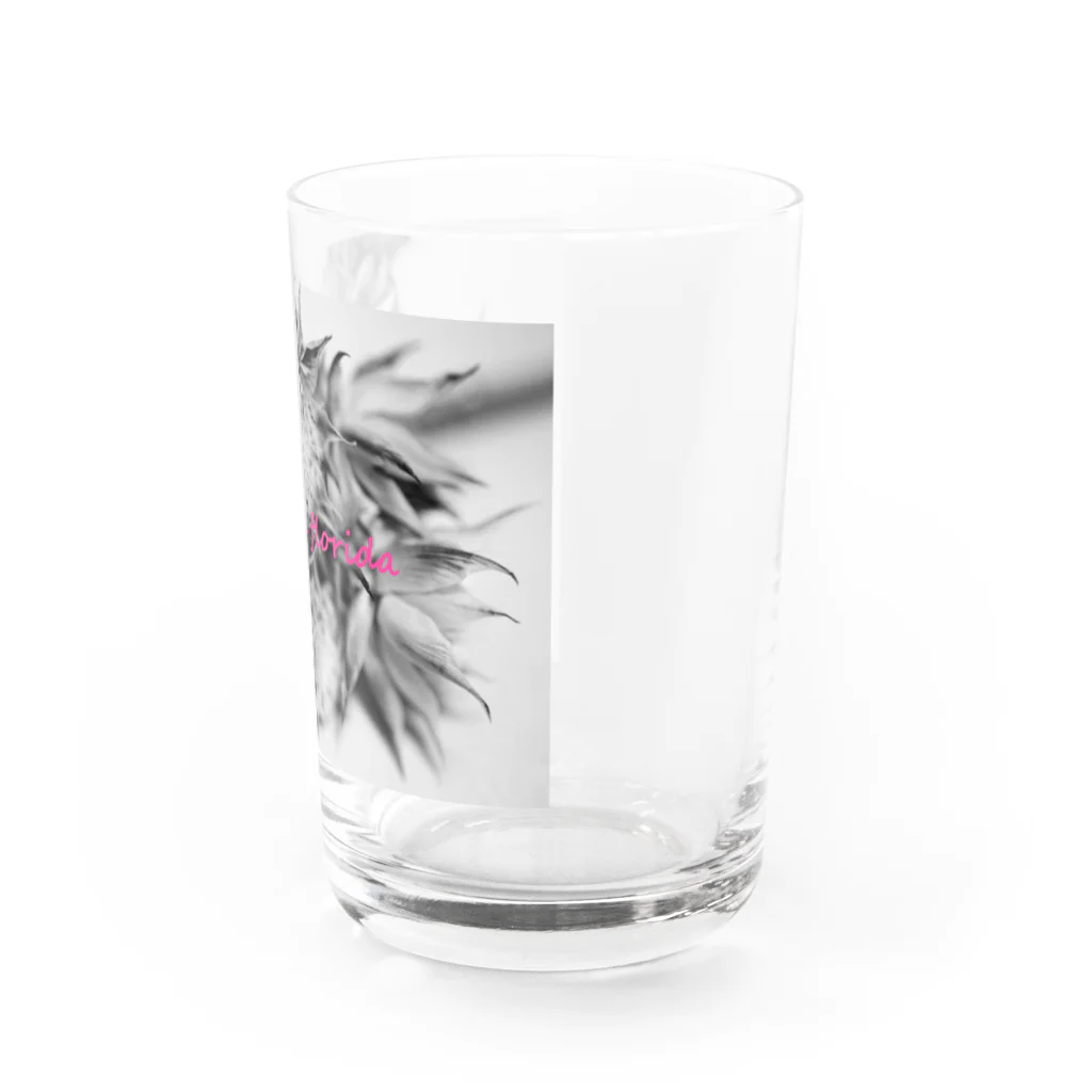 photo-kiokuのセルリア Water Glass :right