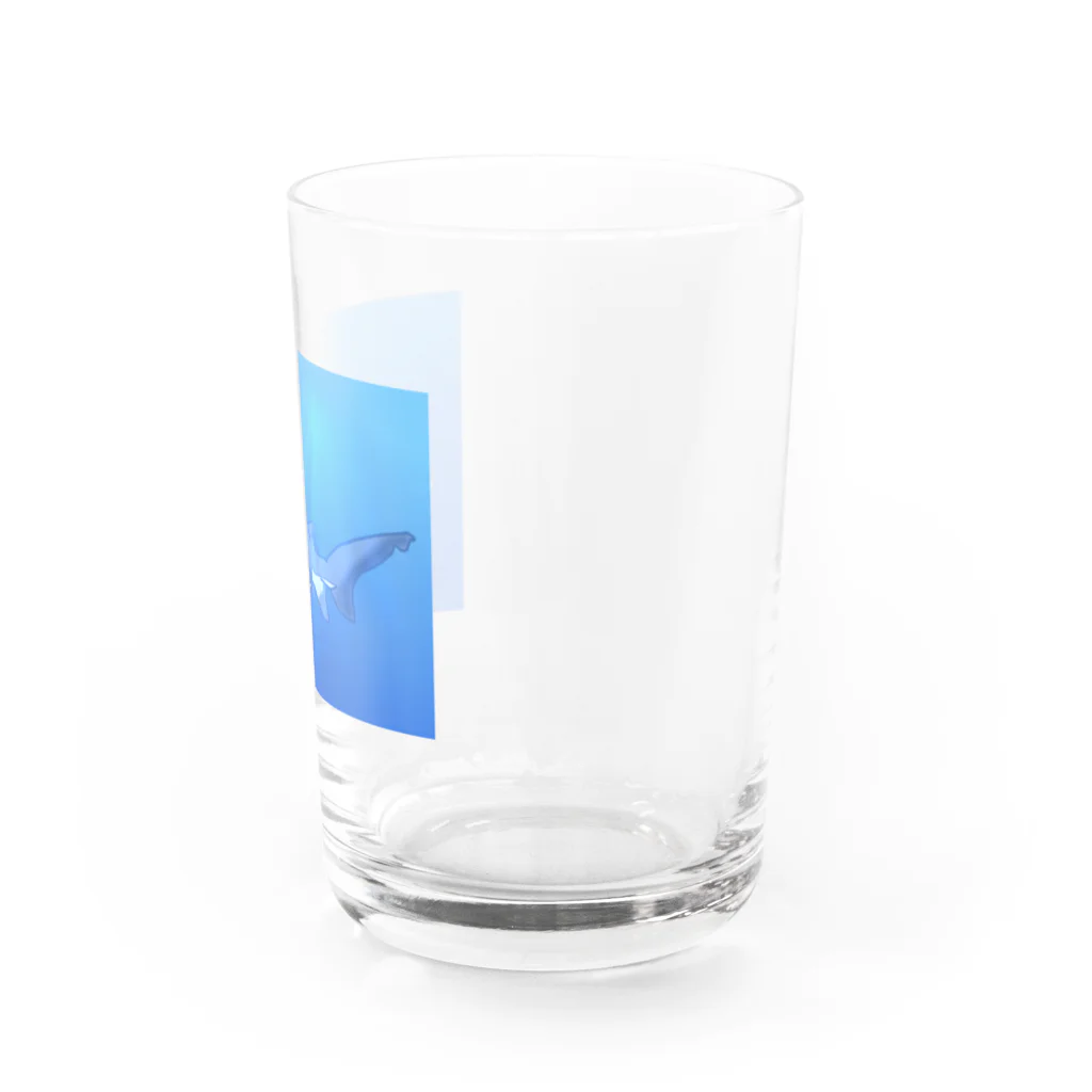 水まんじゅう屋さんのシロワニちゃん Water Glass :right