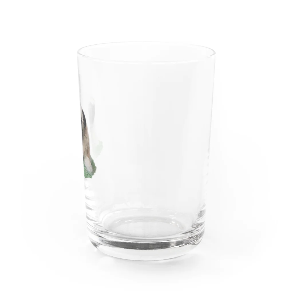 パグのARパグ Water Glass :right