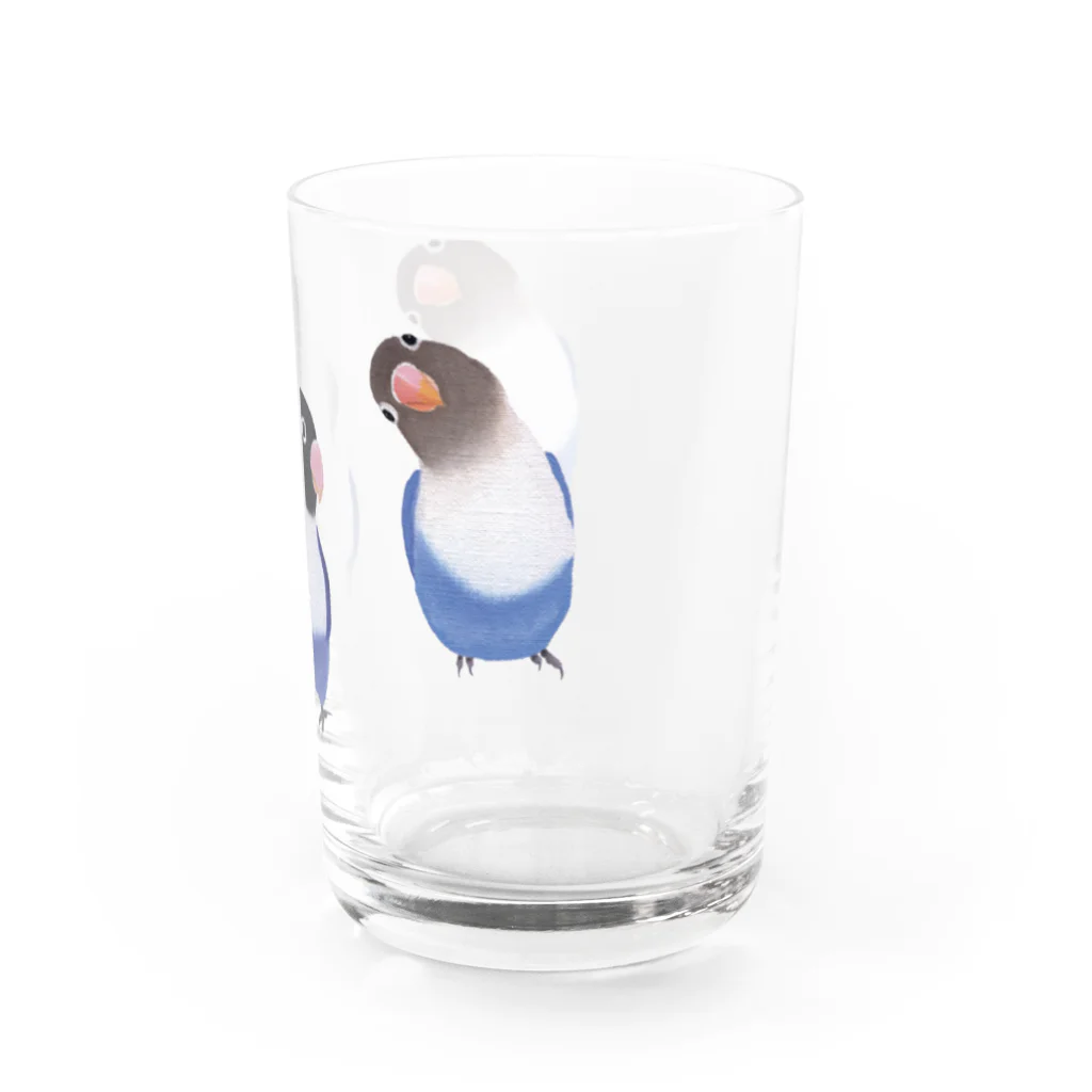 happybirdのとり二ティグラス Water Glass :right