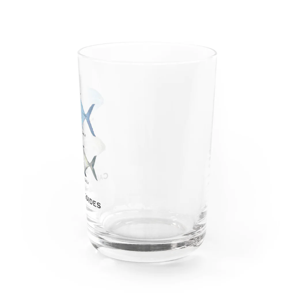 Tarchi Macharのヨロイアジ族 Water Glass :right