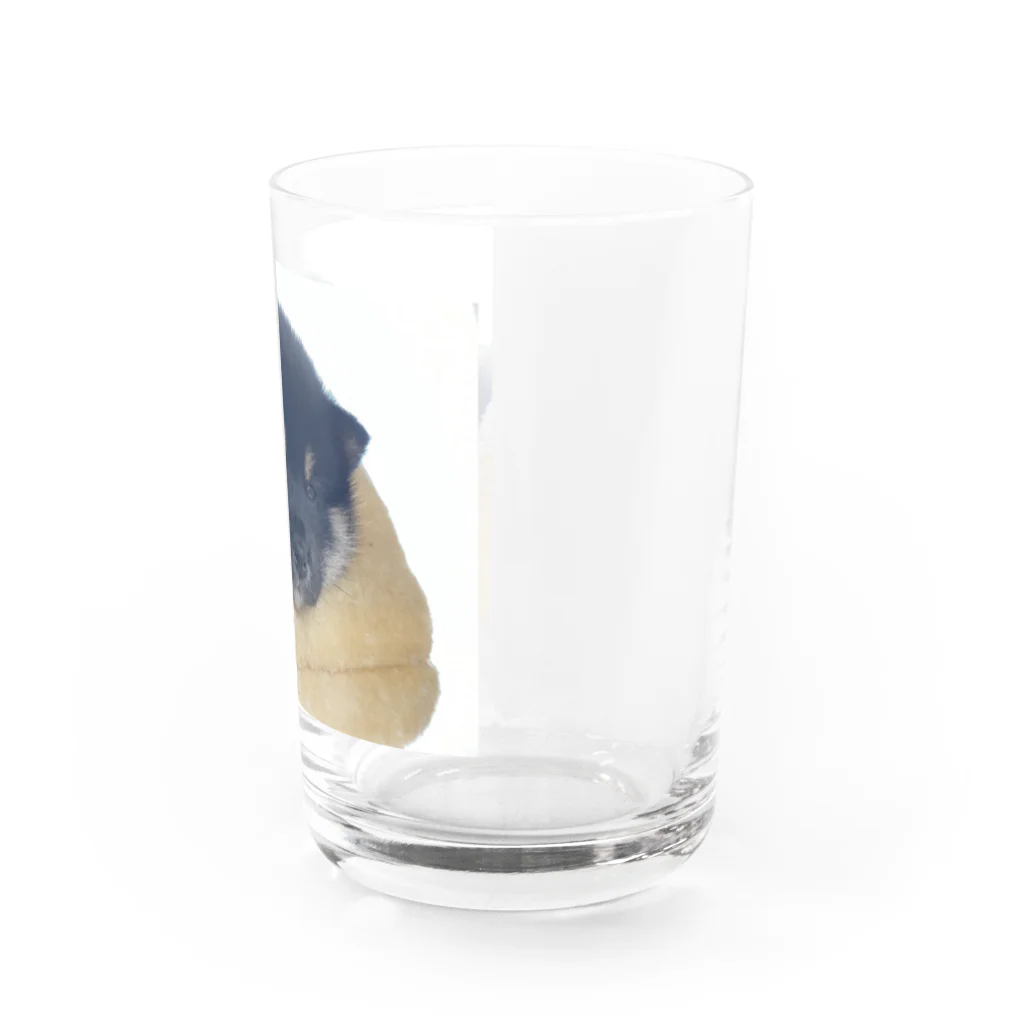 小豆のこまめくん Water Glass :right