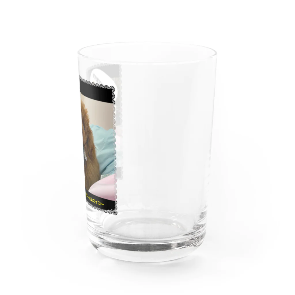 巨大ティーカッププードルの巨大ティーカッププードル Water Glass :right