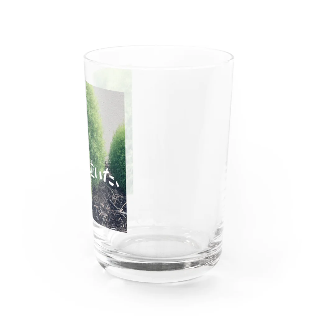 全米が泣いたPARC150のマグカップの全米が泣いた、Tシャツ Water Glass :right