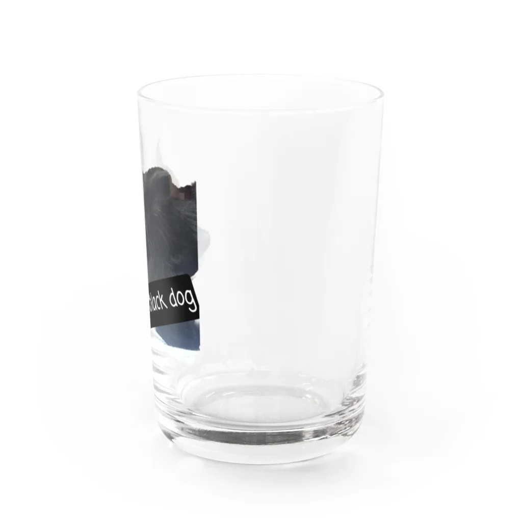 SASARiNS のThe black dog Water Glass :right