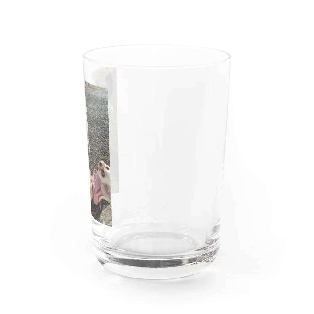 kedoのちぃそら Water Glass :right