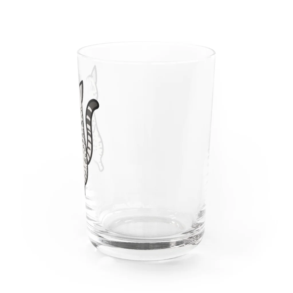 まめゆきの灰ベンガル猫 Water Glass :right