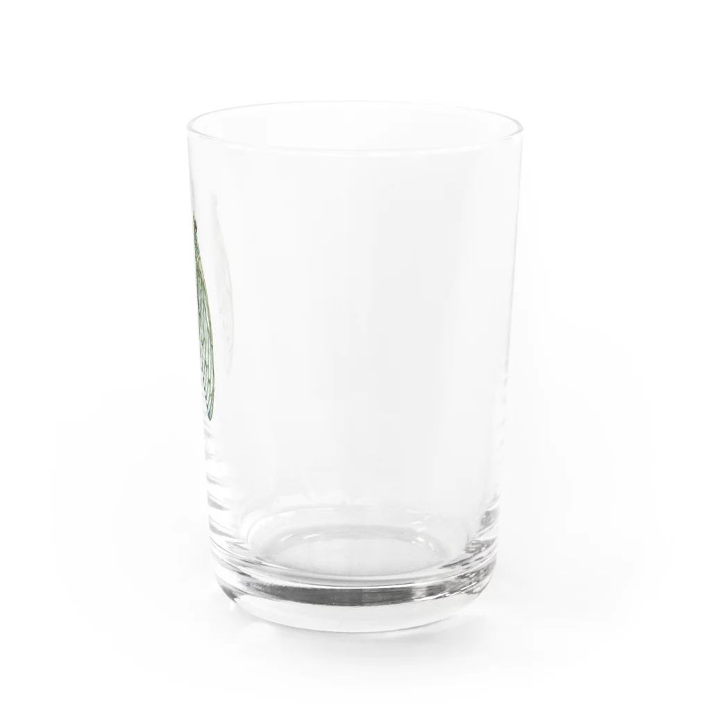 ルルンパ・エンターテイメントのミンミンゼミ Water Glass :right