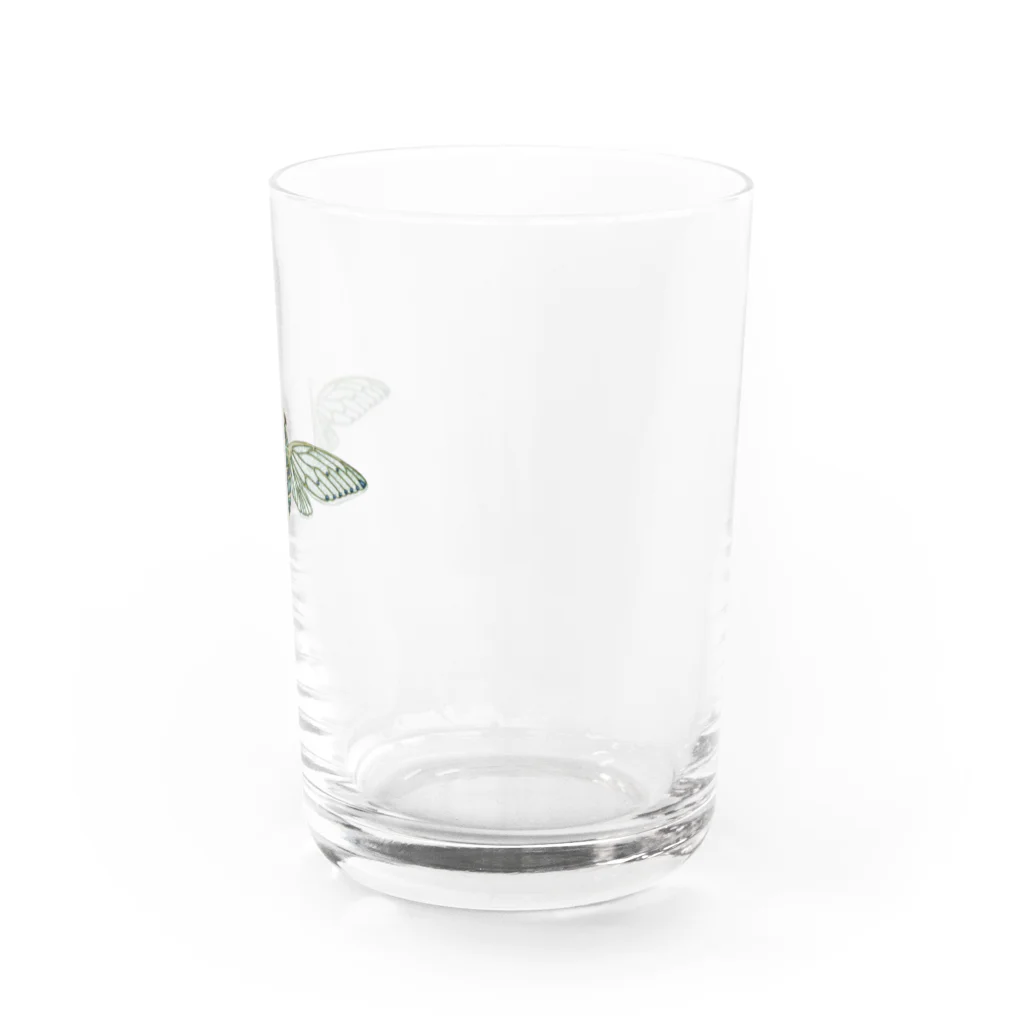 ルルンパ・エンターテイメントのミンミンゼミ・テイクオフ Water Glass :right