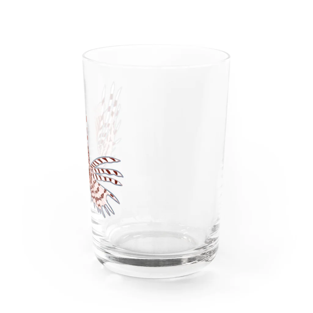 Pica.pica屋のミノカサゴ Water Glass :right