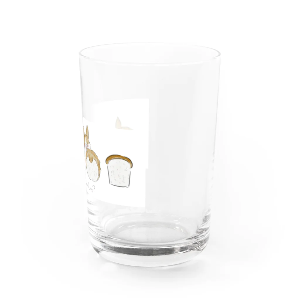 emiu_desighnのコーギーはどーこだ？ Water Glass :right