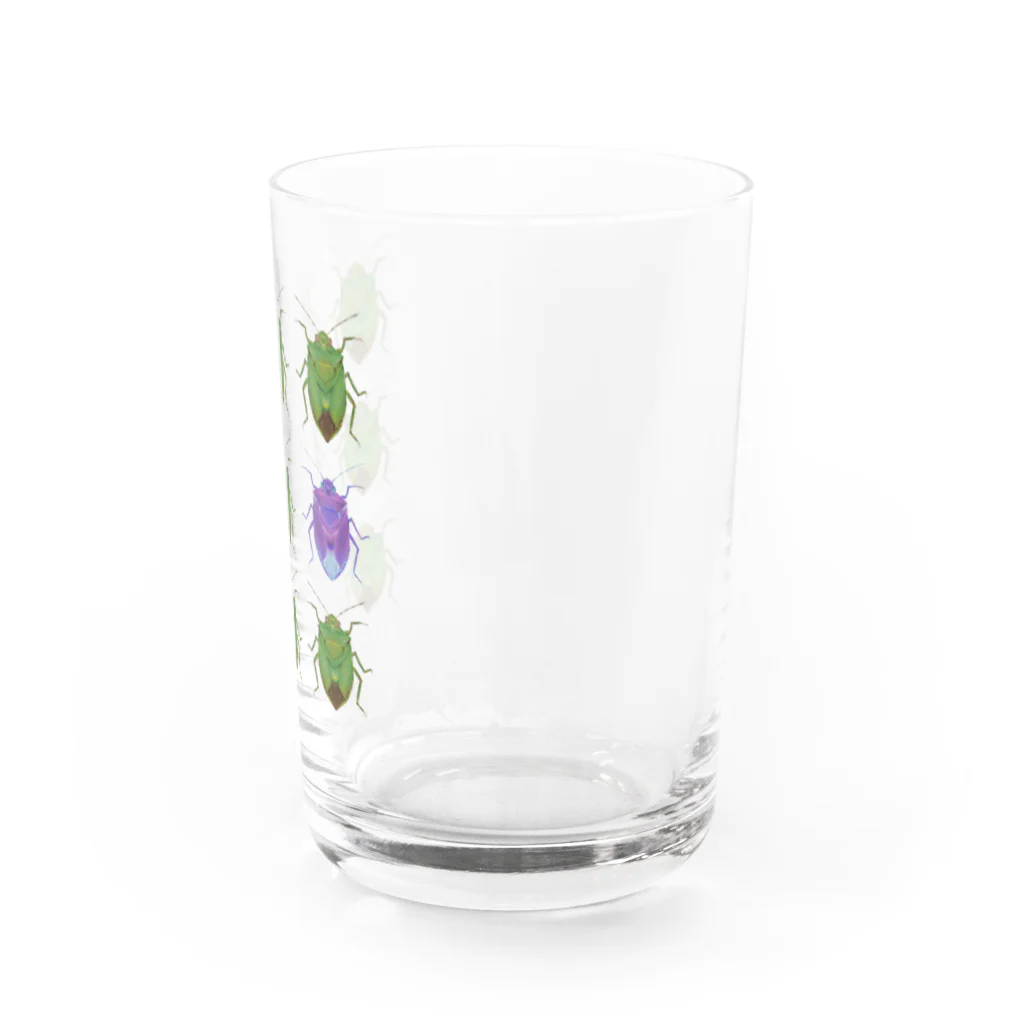 生物(ﾅﾏﾓﾉ)取扱店🦥のチャバネアオカメムシの秩序 Water Glass :right