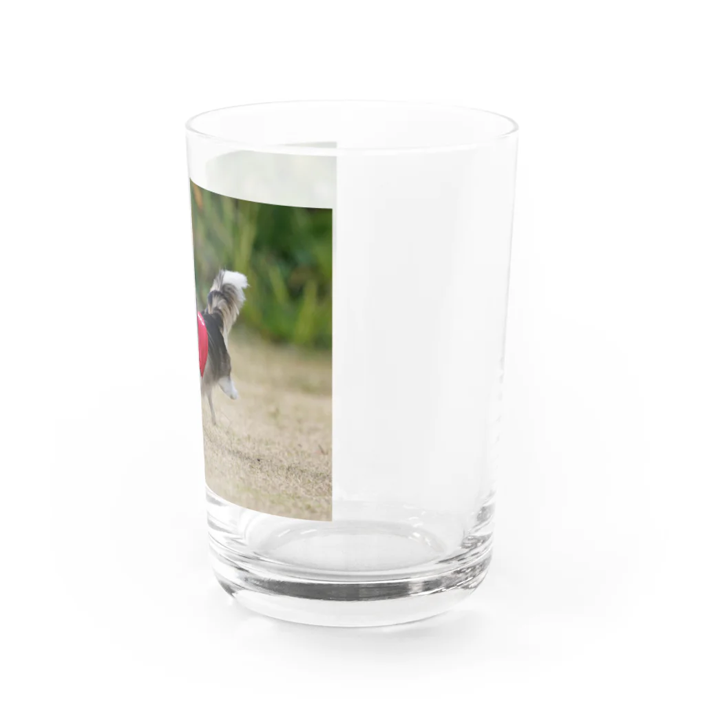 MILKY's SHOPのミルキー犬生の旅 Water Glass :right