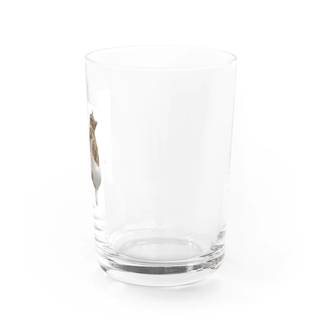 yui .のmenmaｺｯﾌﾟ! Water Glass :right