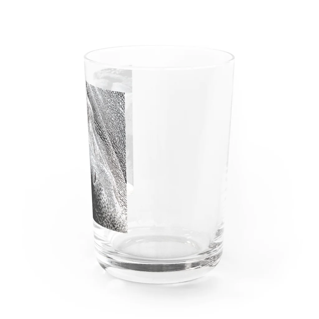 爆弾ツナマヨの動物園のカバ Water Glass :right