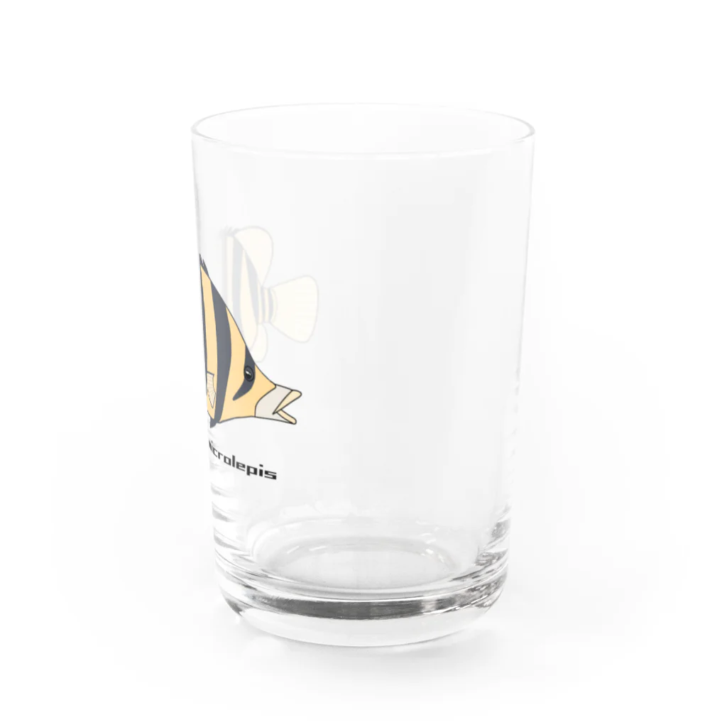 mihuneのダトニオ　捕食ver Water Glass :right