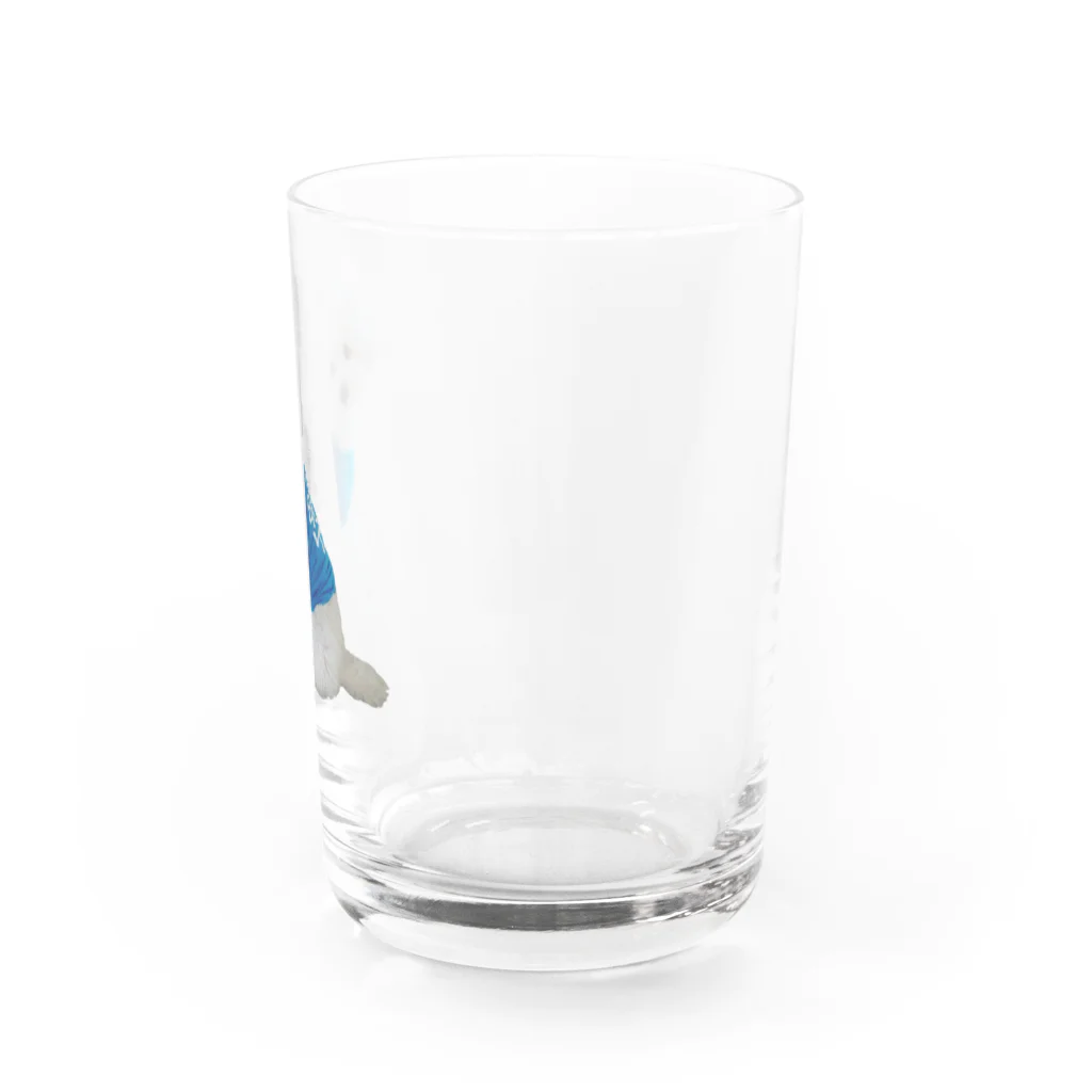 ぽんころ店のおすわりーぬ Water Glass :right