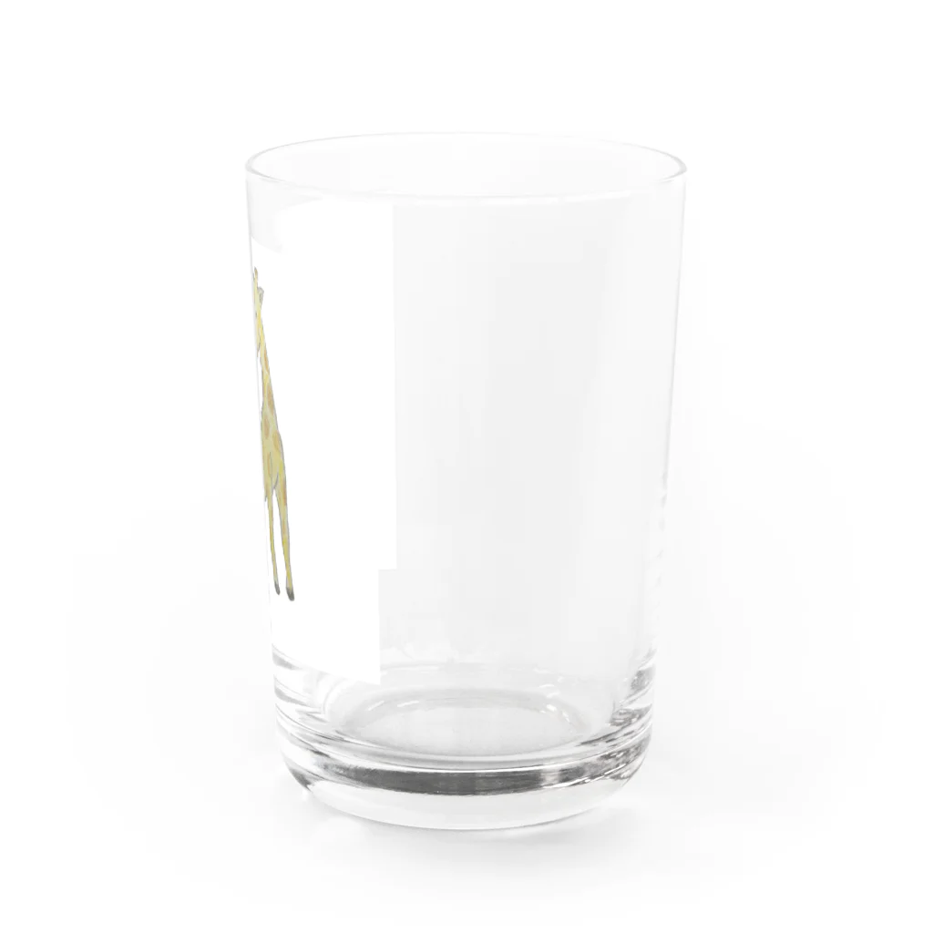 ファーストペンギンのきりんさん Water Glass :right