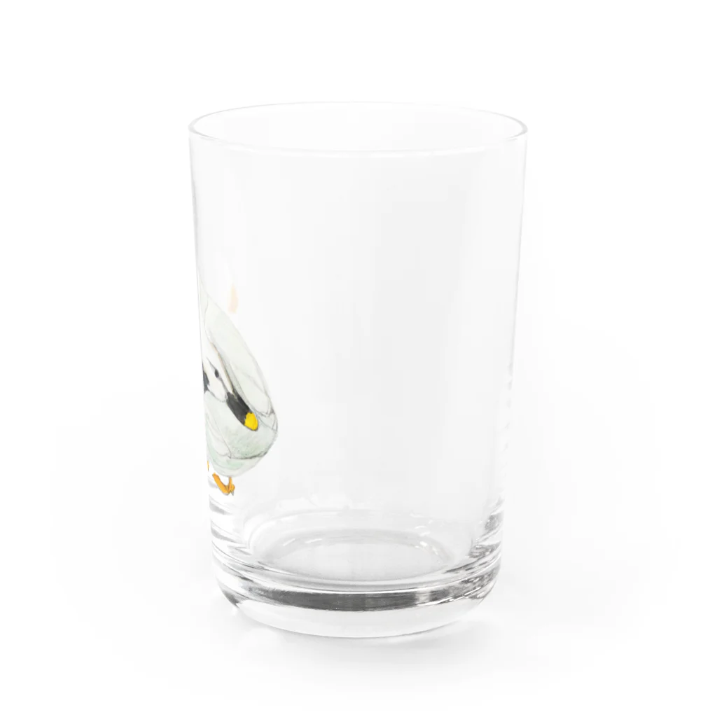 ゆずずショップのカモ Water Glass :right