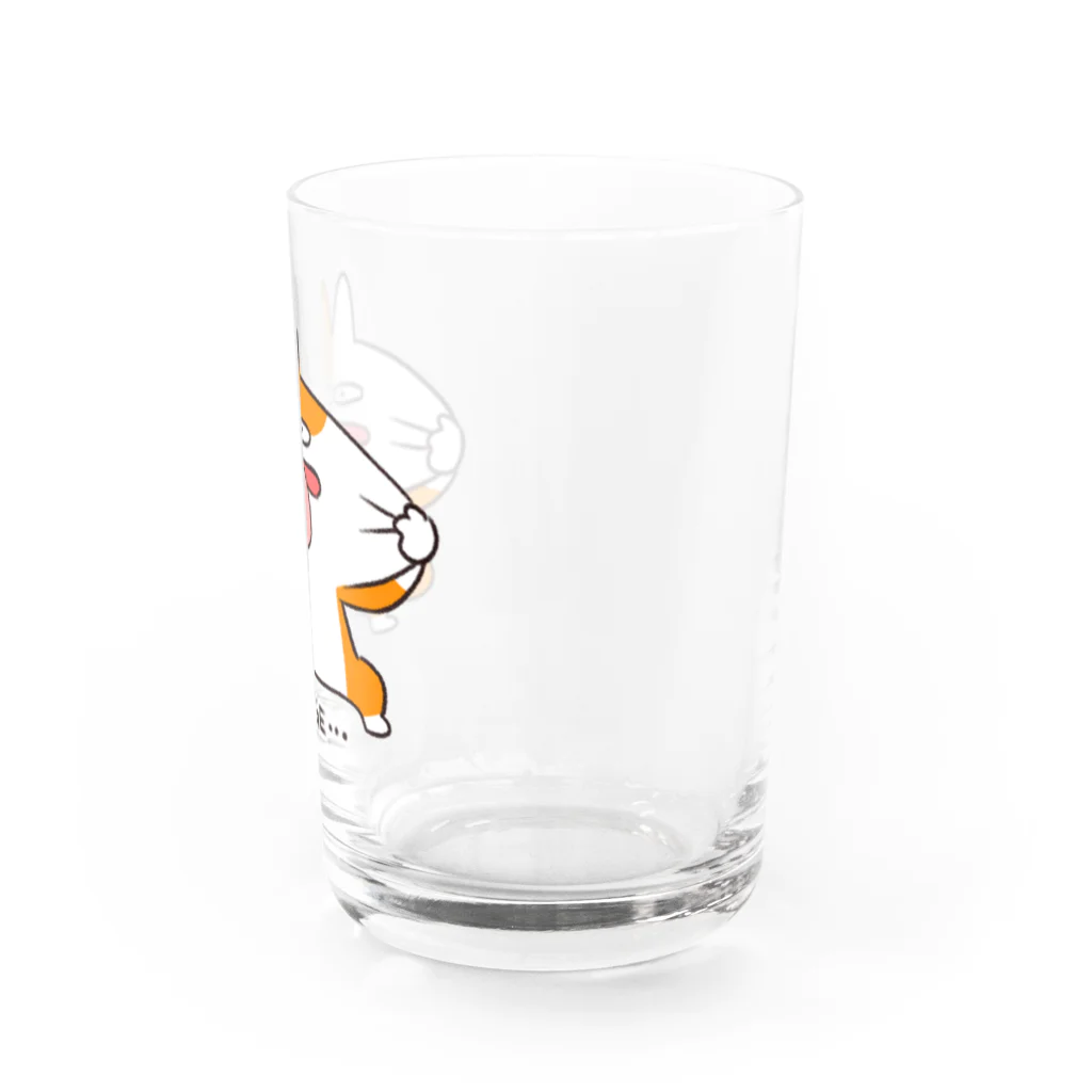 NORICOPOの挑発するほげねこちゃん Water Glass :right