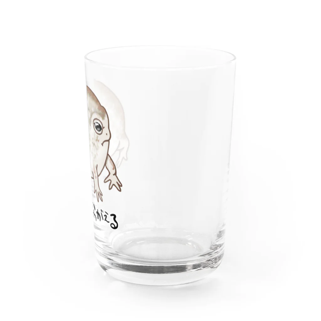 LalaHangeulのなまかふくらがえる Water Glass :right