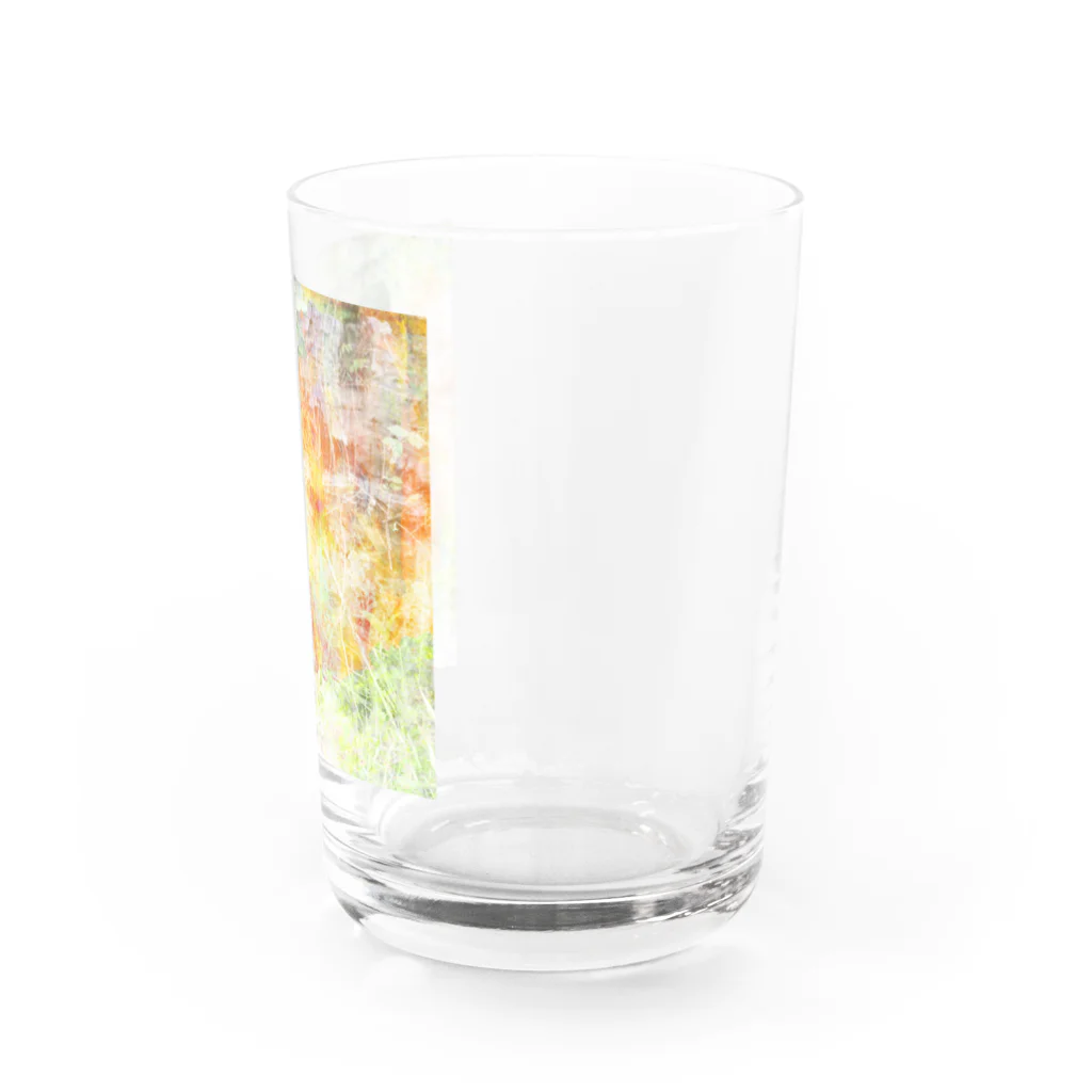 狗島のwoods Water Glass :right