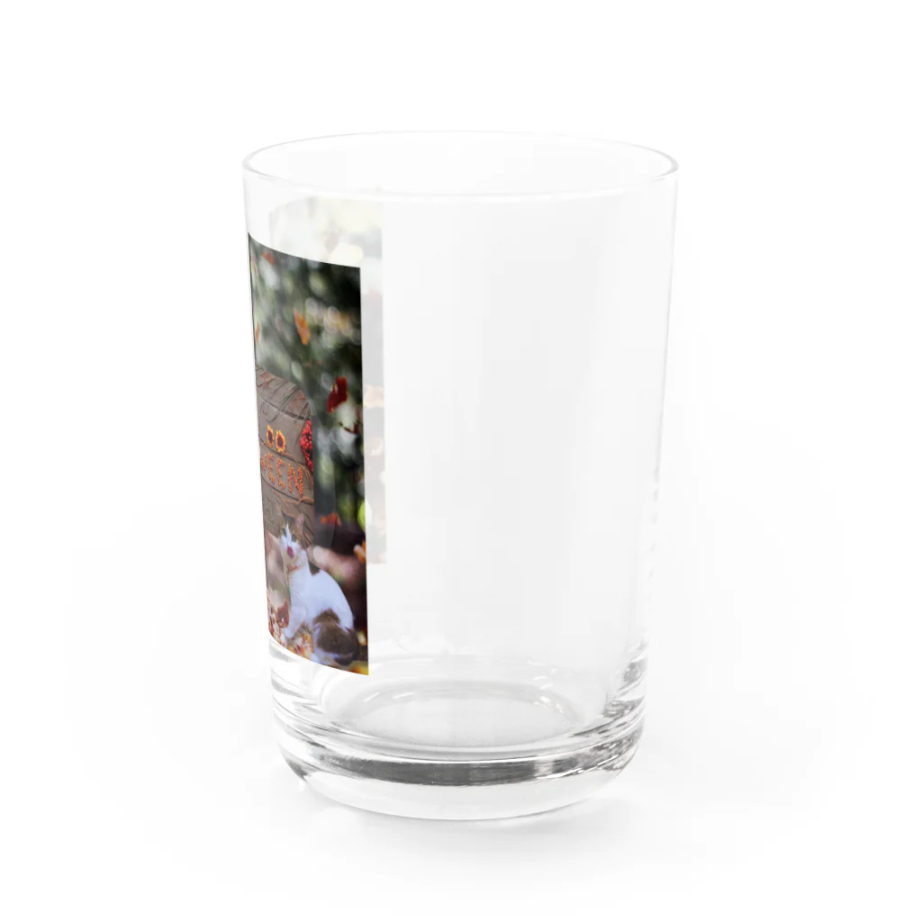 𝙈𝙊𝙈𝙊'𝙨 𝙎𝙝𝙤𝙥のHappy Halloween #02 Water Glass :right