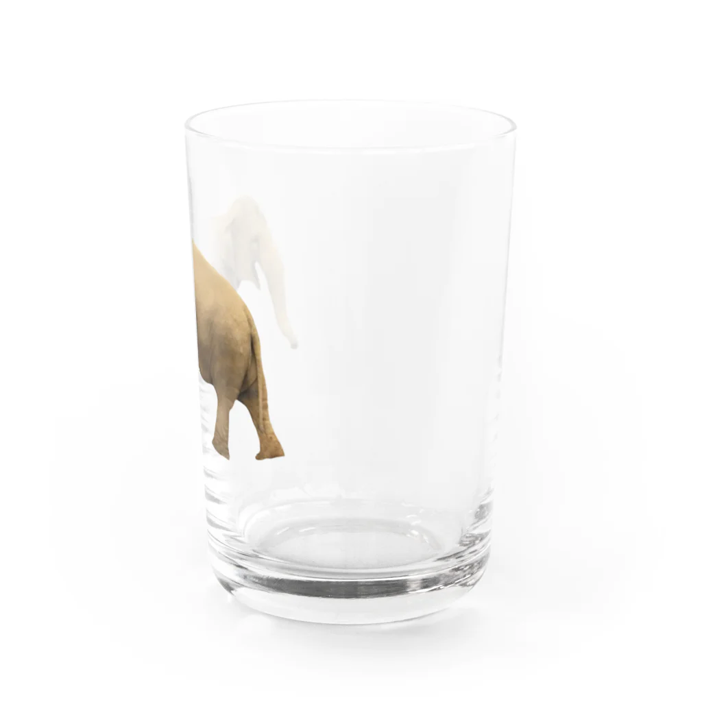 いきもの大好き！ほほえみフレンズのごきげんなゾウさん Water Glass :right