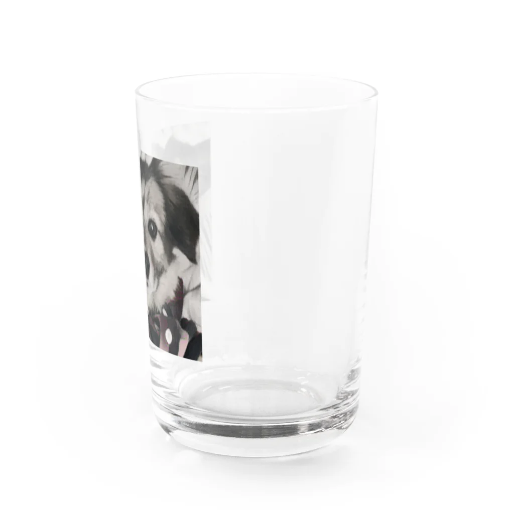 ももももものこうすけくん Water Glass :right