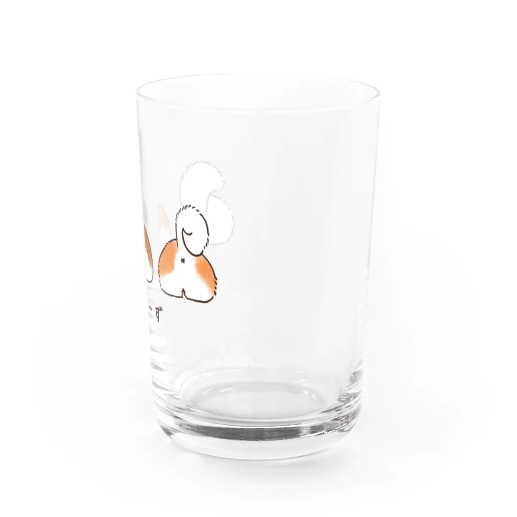 Andiamoのおしりーず Water Glass :right