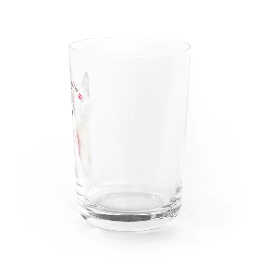 ベルとスノーとジンK2のＳＮＯＷ(ベルとスノーとK2です) Water Glass :right