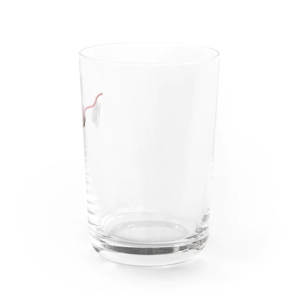 くつしたさんがなんか売るのパンダマウスのかわいいすがた Water Glass :right