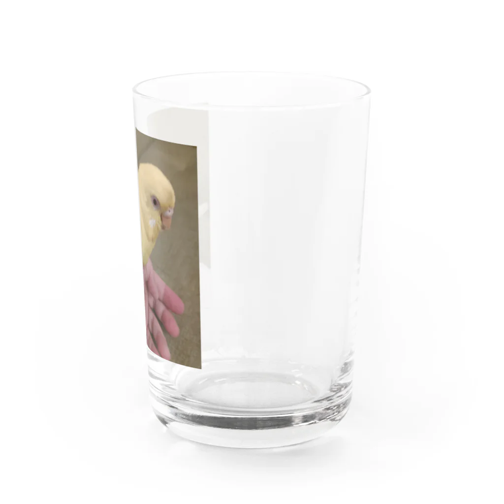 landscapeのみーすけちゃん Water Glass :right