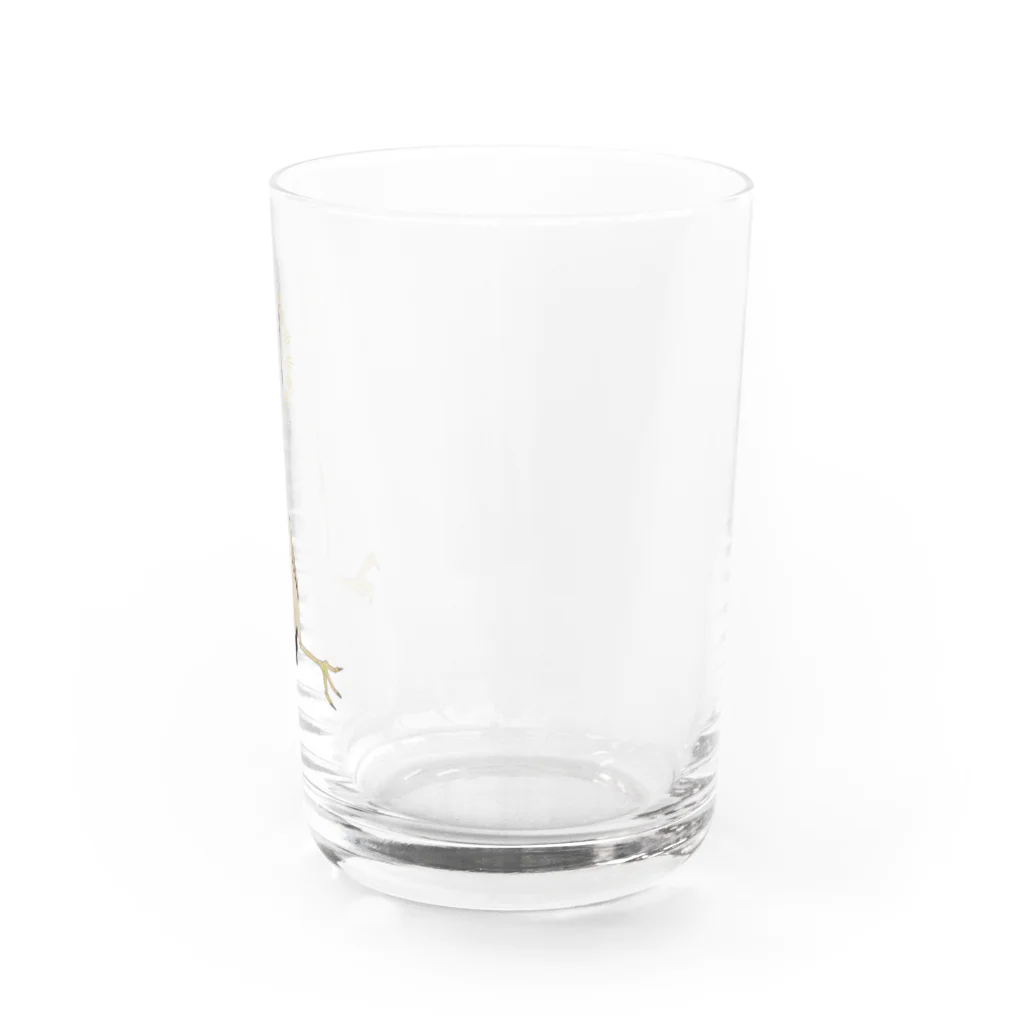 透月糖花の擬態ヨシゴイさん Water Glass :right
