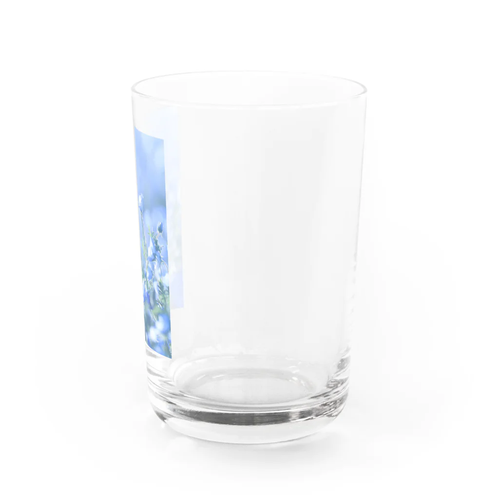 はやしの光を浴びる Water Glass :right