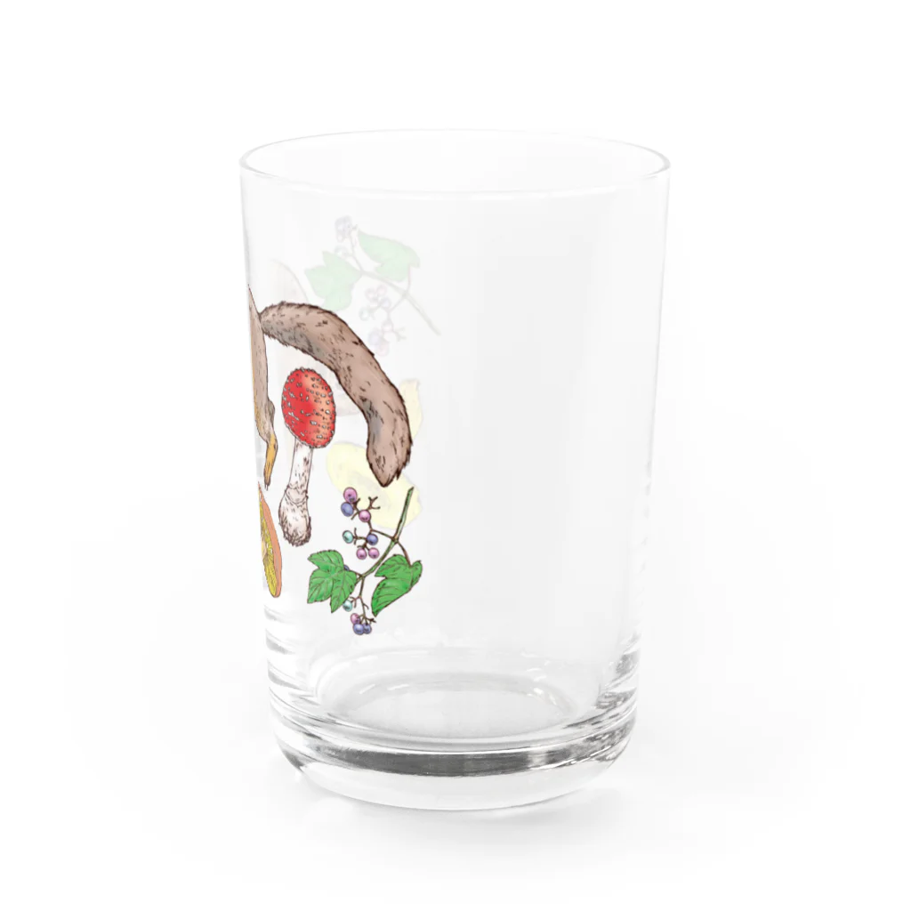 nemunoki paper itemの実りの森深く Water Glass :right