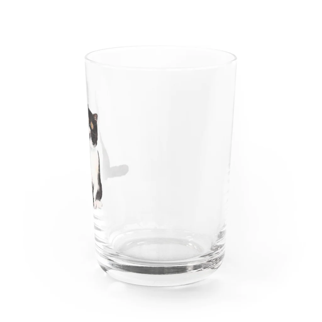 マルティ部屋のエキゾのモリオンくん Water Glass :right