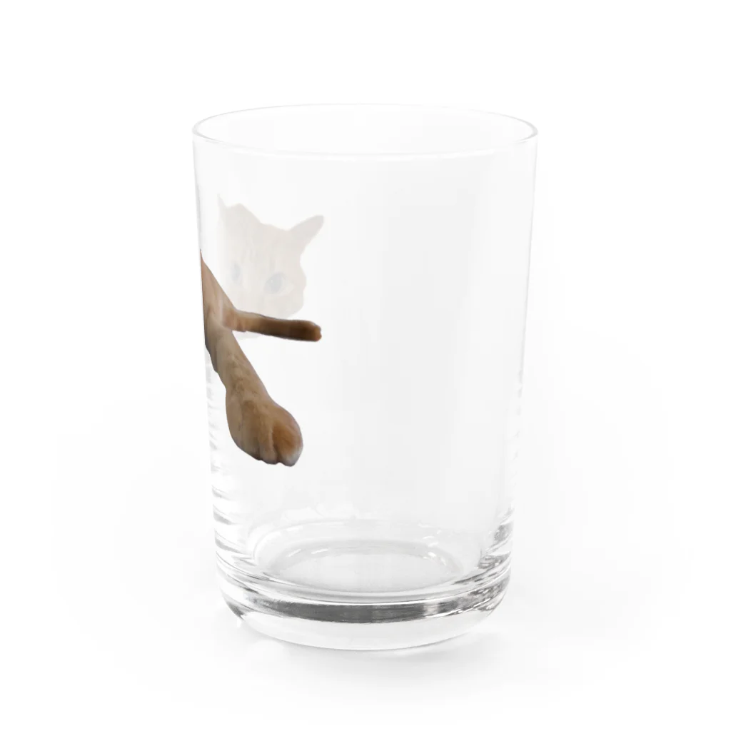 音to鳴手芸部のぺったりちゃちゃまる Water Glass :right