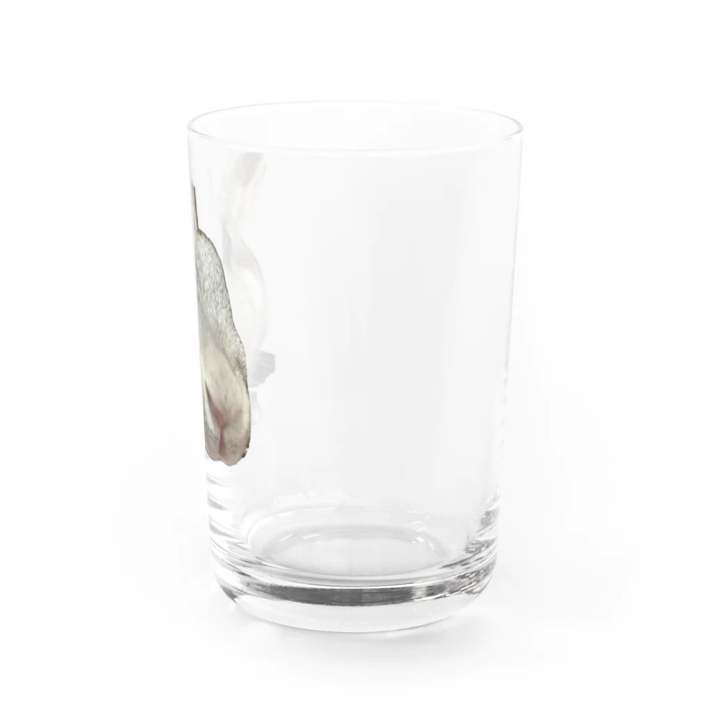 ふてくされうさぎ善のふてくされうさぎの善 Water Glass :right