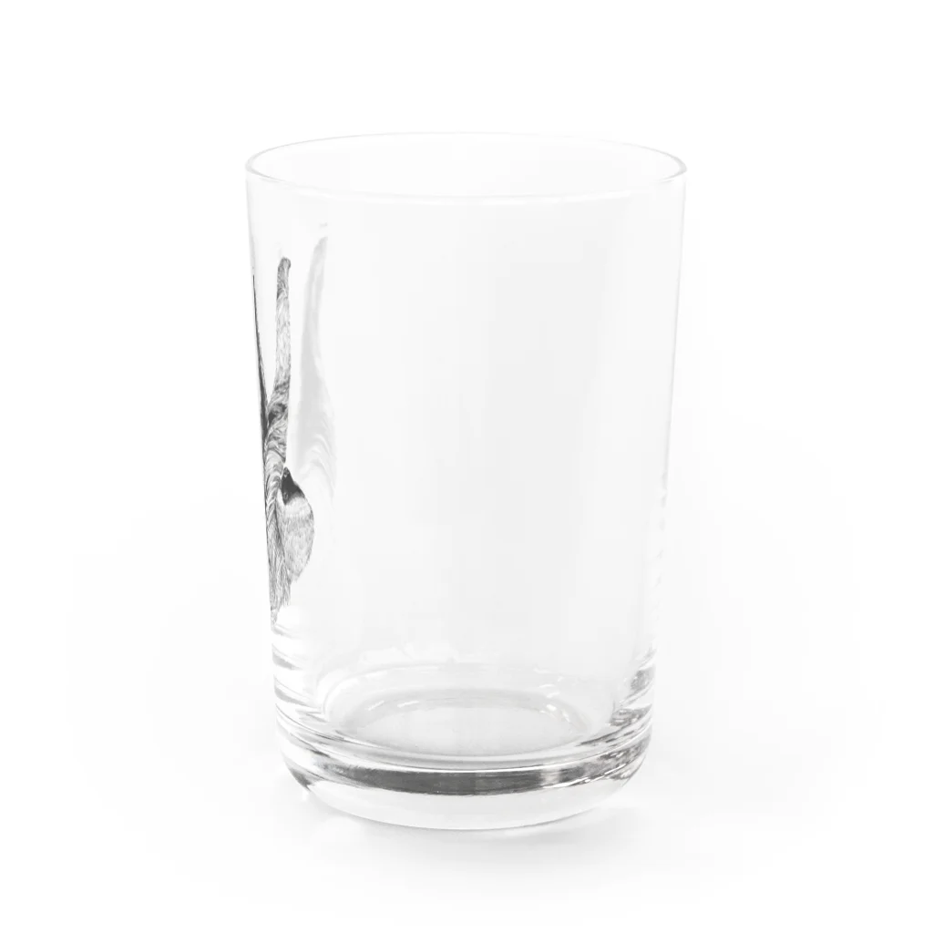 segasworksのフタユビナマケモノ Water Glass :right