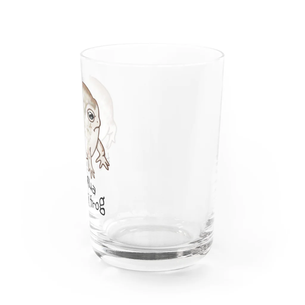 LalaHangeulのNamaqua rain frog(なまかふくらがえる) 英語バージョン Water Glass :right