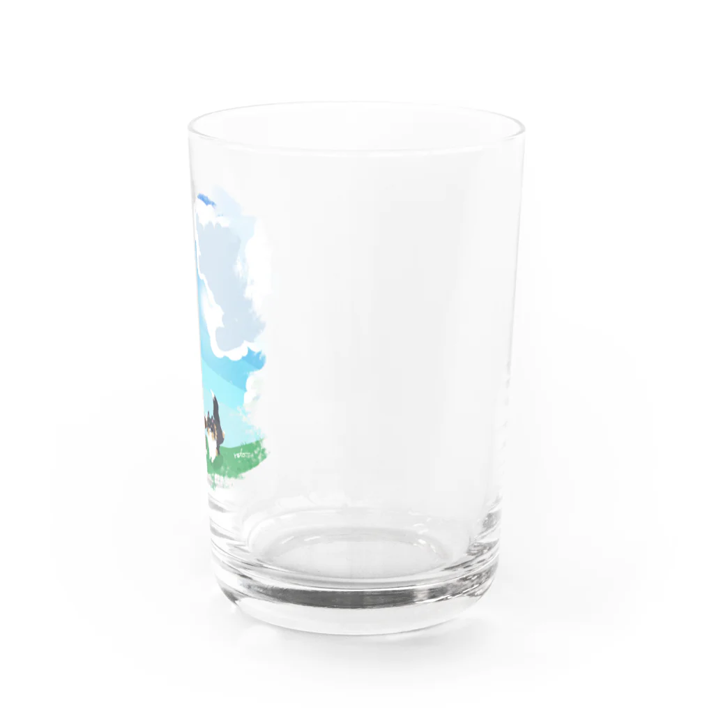 Kotetsu diary(SUZURI店)のシェルティ2匹×青空の下の草原 Water Glass :right