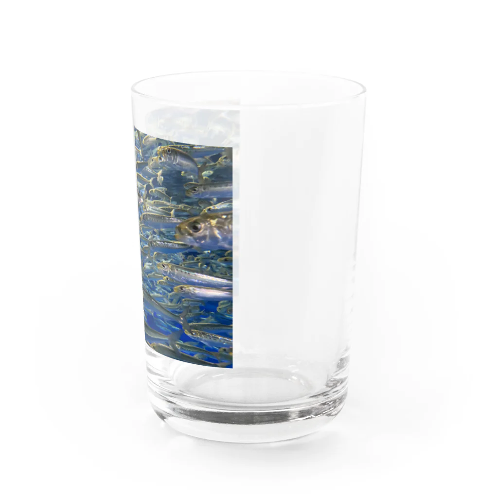 ユの確かイワシ Water Glass :right