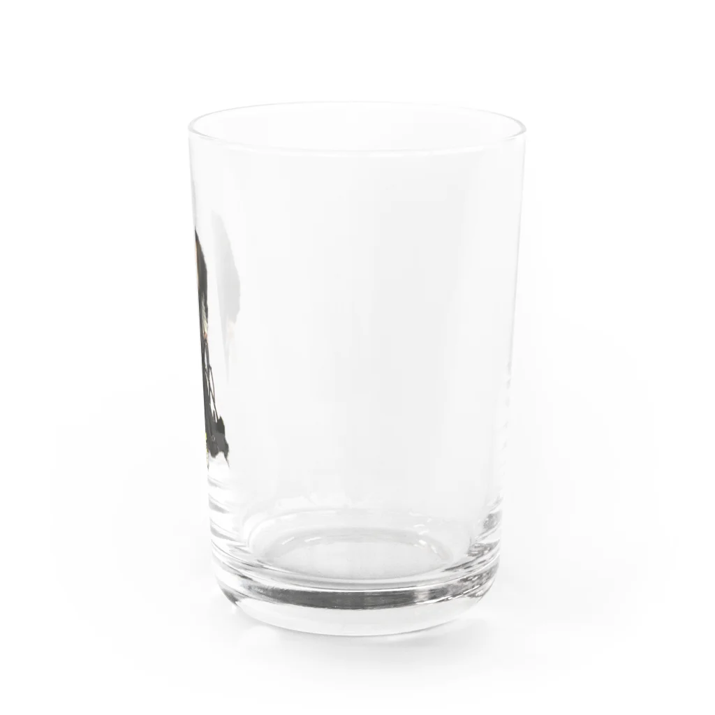 東北ハードコア情報局の謝罪SGHAL Water Glass :right