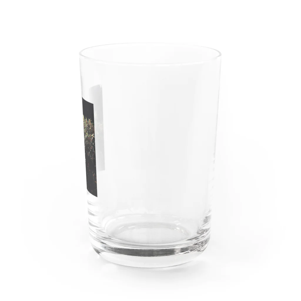 いつもの夜の金木犀 Water Glass :right