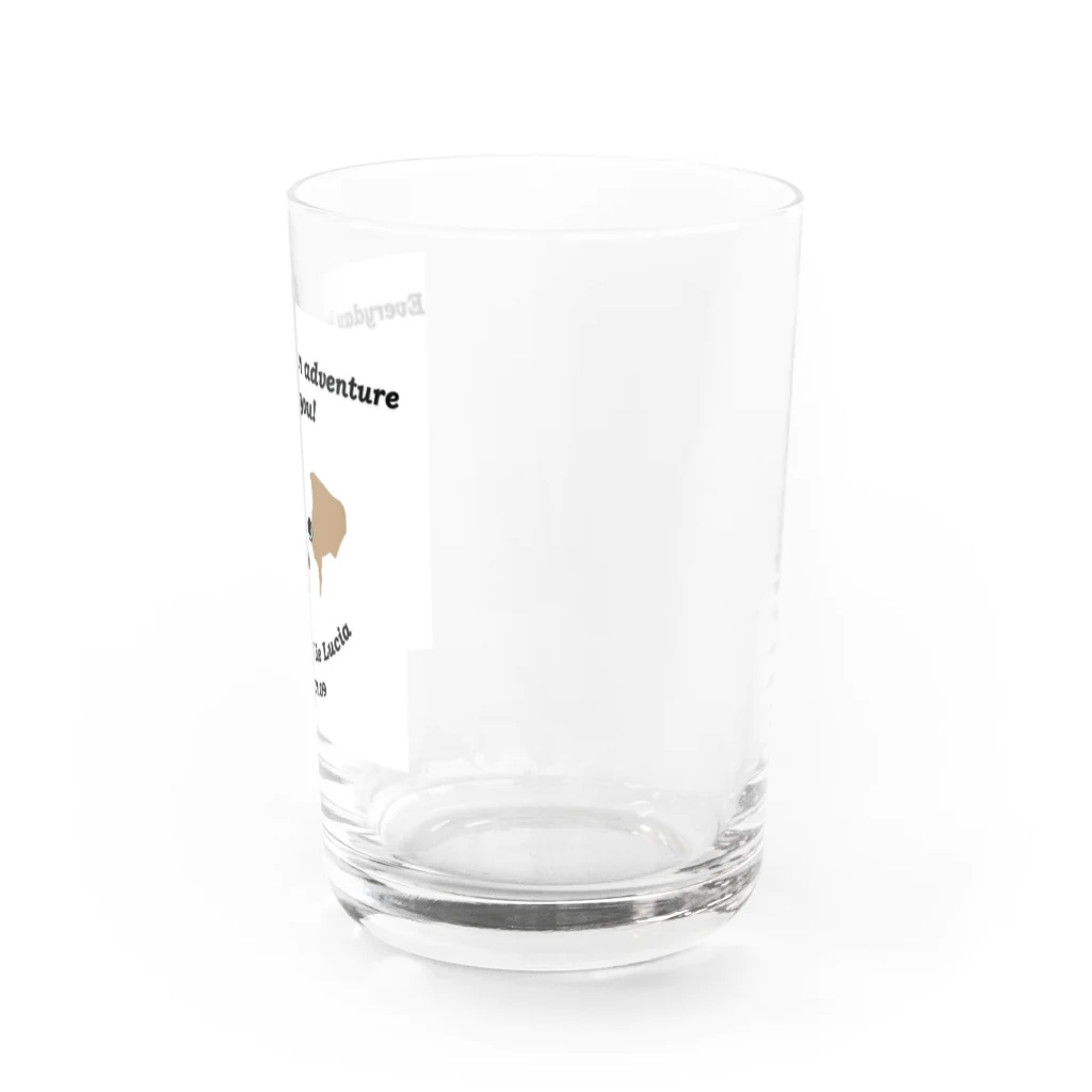 Bordercollie StreetのHappy LUCIA Water Glass :right