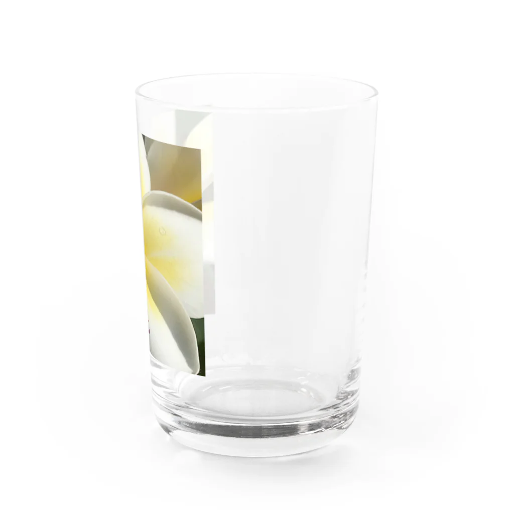 💖宇宙整体♪🌈♪こころからだチャンネル♪💖のプルメリアに出逢えてあーよかった💖🌈 Water Glass :right