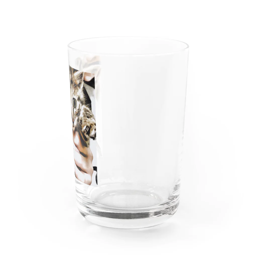 progress⭐️の猫ちゃん Water Glass :right