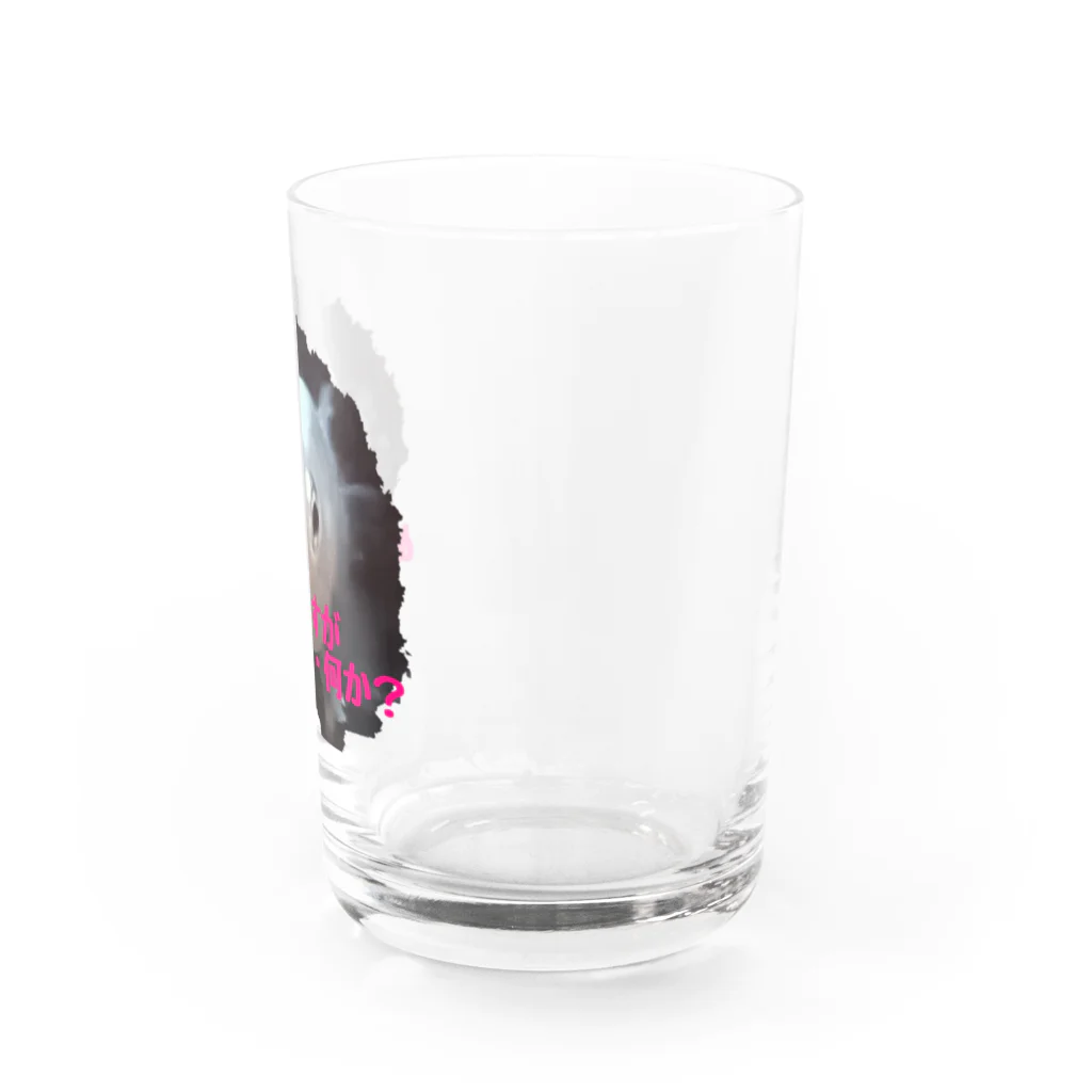 湯けむりshopのめだかですが・・・何か？ Water Glass :right